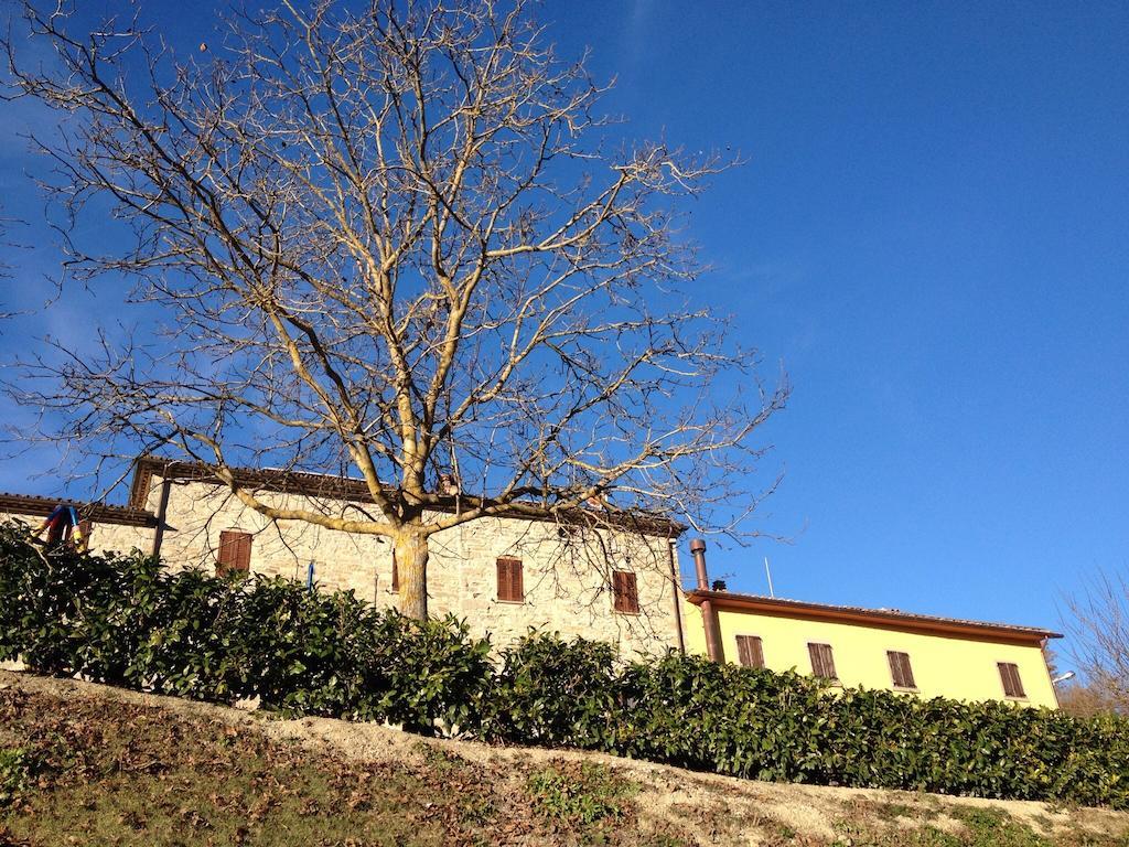 Agriturismo Cailuca 皮耶特拉伦加 外观 照片