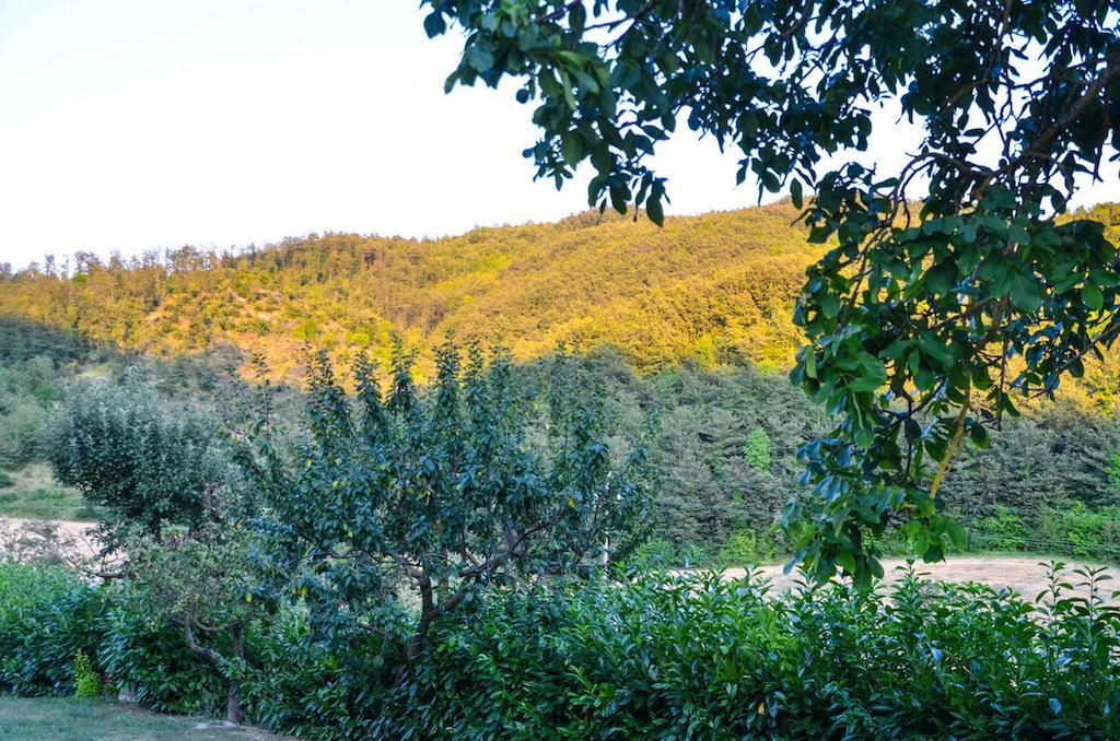 Agriturismo Cailuca 皮耶特拉伦加 外观 照片